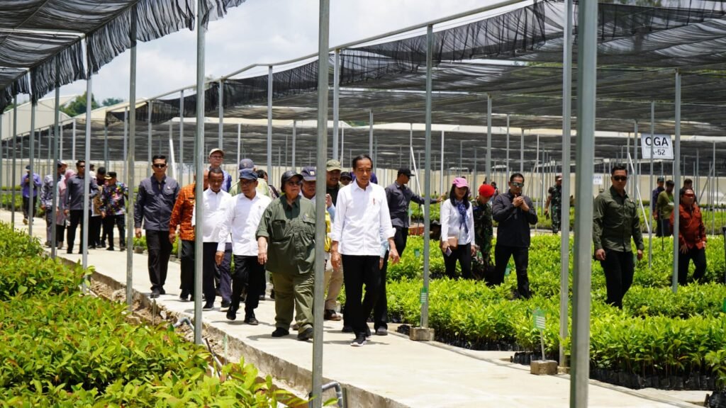 Kunjungi Ibu Kota Nusantara, Presiden Jokowi Tinjau Persemaian Mentawir