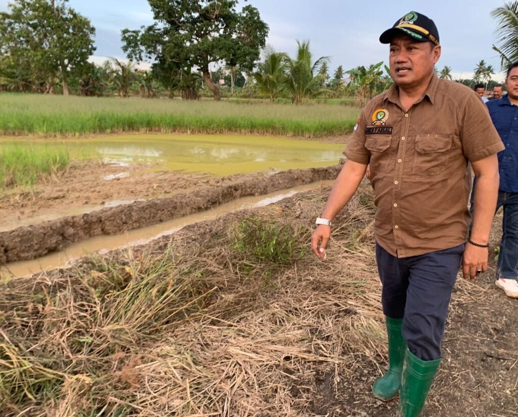 Anggota DPRD Kaltim Andi Faisal Assegaf