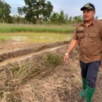 Anggota DPRD Kaltim Andi Faisal Assegaf