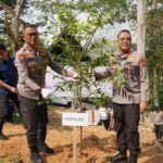 Sambut HUT Ke-72 Humas Polri, Polda Kaltim Tanam 1.500 Pohon
