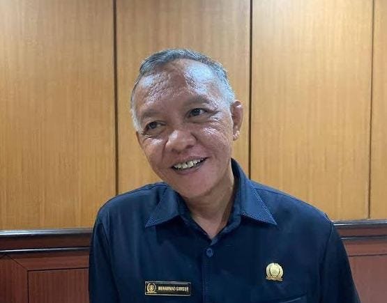 Wakil Ketua DPRD Kaltim Muhammad Samsun