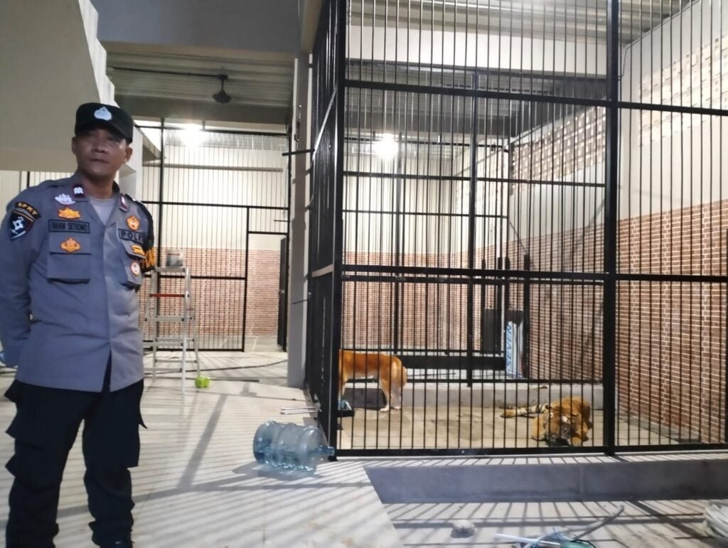 WhatsApp Image 2023 11 18 at 02.27.28 Pria di Samarinda Tewas Diterkam Harimau PROKALTIM