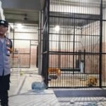 Pria di Samarinda Tewas Diterkam Harimau