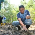 Wakil Ketua DPRD Kaltim Sigit Wibowo, melakukan penanaman mangrove di Pantai Lamaru Balikpapan
