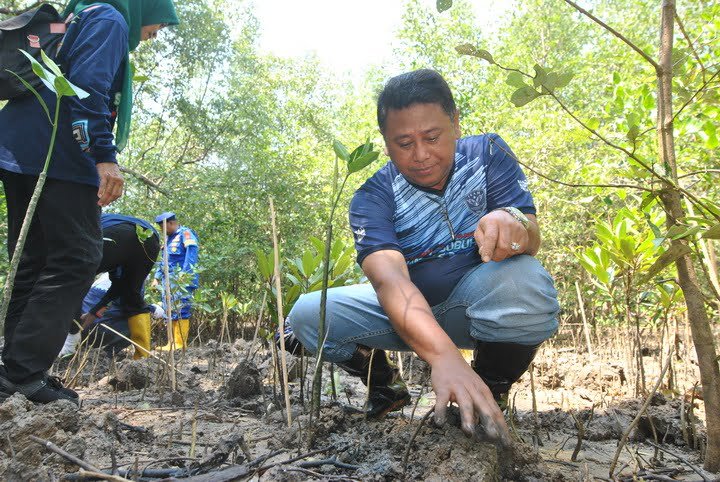 Wakil Ketua DPRD Kaltim Sigit Wibowo, melakukan penanaman mangrove di Pantai Lamaru Balikpapan