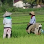 Pemuda Desa Loh Sumber Diminta Beralih ke Sektor Pertanian