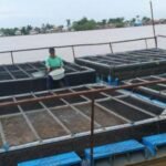 Desa Ponoragan Siap Jadi Produsen Bibit Ikan untuk IKN Nusantara