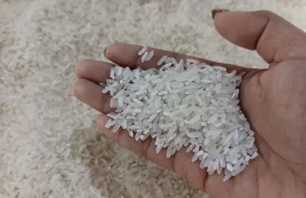 WhatsApp Image 2023 12 01 at 00.46.15 Desa Loh Sumber Ciptakan Beras Cap Tugu dengan Mesin Modern dan Program Sinar Purnama PROKALTIM