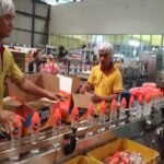 PT Sariguna PrimatirtaIstimewa