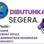 BNN Buka Lowongan Kerja Februari 2024 untuk SMA/SMK, D3 dan S1, Ini Cara Daftarnya