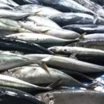 Terus Waspada untuk Menjangkar Inflasi Pangan di Balikpapan dan PPU