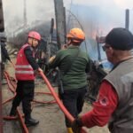 Respon Cepat, Brimob Batalyon A Pelopor Bantu Padamkan Kebakaran di Gn. Empat Balikpapan