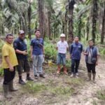 Perkuat Jaringan Kelistrikan Provinsi Kalimantan Timur-Kalimantan Utara PLN UIP KLT Bangun SUTT 150 kV Sangatta-Wahau
