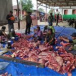 Masjid Tajril Muhajirin Manggar Melaksanakan Pemotongan 6 Ekor Sapi Kurban