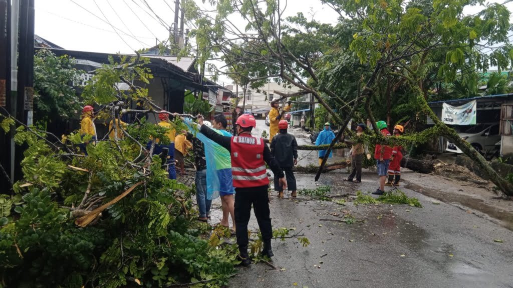 WhatsApp Image 2024 07 09 at 18.34.48 Respon Cepat, Batalyon A Brimob Kaltim Evakuasi Pohon Tumbang di Strat I Balikpapan PROKALTIM