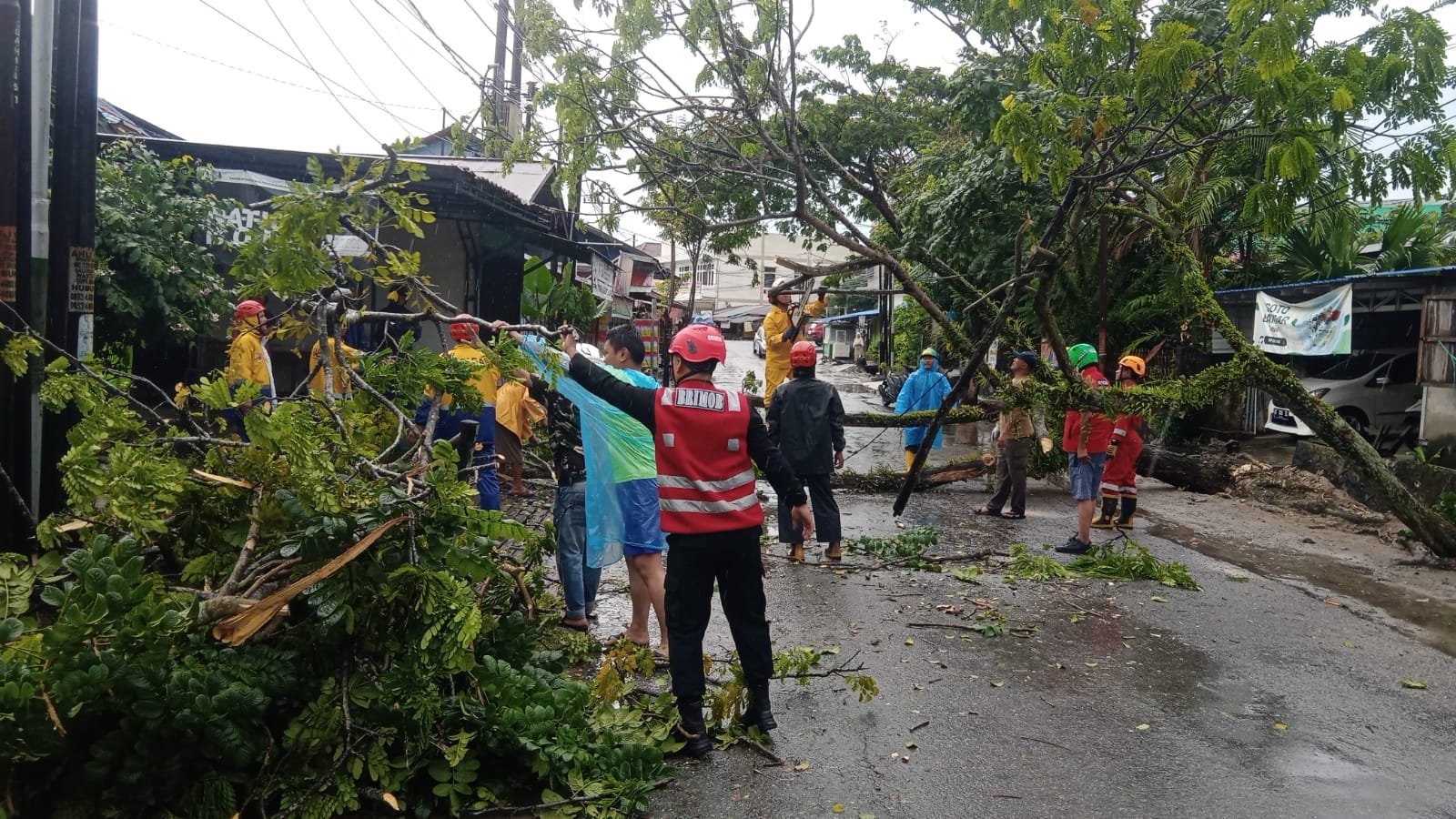 Respon Cepat, Batalyon A Brimob Kaltim Evakuasi Pohon Tumbang di Strat I Balikpapan