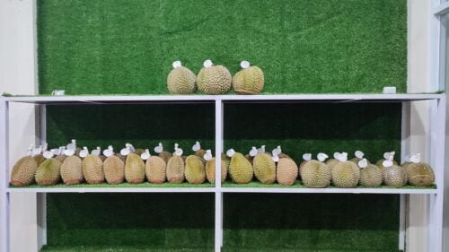 WhatsApp Image 2024 08 20 at 01.24.07 Ayo Merapat di Outlet Durian Viral dan Harga Terjangkau PROKALTIM