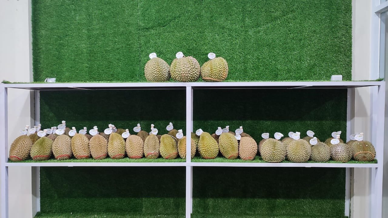 Ayo Merapat di Outlet Durian Viral dan Harga Terjangkau