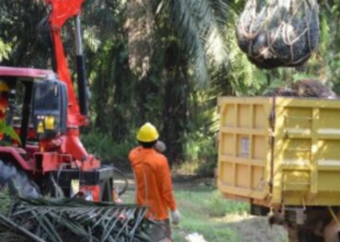 DSN Group Konsisten Penuhi Hak Karyawan Sesuai Aturan