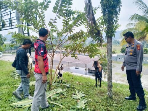 IMG20241010092135 Pelaku Penipuan Jual Beli Kambing di Loa Janan, Nekat Tebas Polisi Saat Diamankan PROKALTIM
