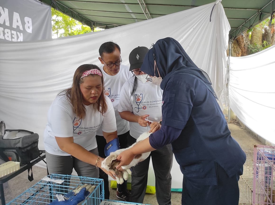 Lakukan Kebiri dan Vaksinasi Rabies Kucing di Pasar Klandasan, Bakti Sosial Forkom Dokter Hewan Praktisi Balikpapan