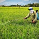 Ilustrasi pertanian (Ist)