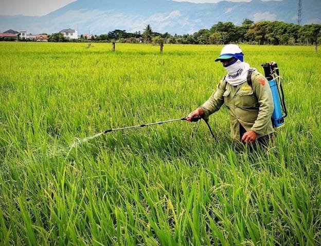 Ilustrasi pertanian (Ist)