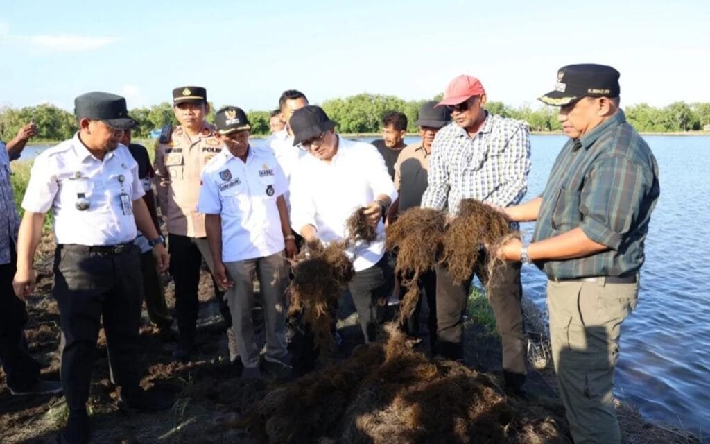 Kunjungan Pj Gubernur Kaltim didampingi Pj Bupayi PPU dan Paser dalam upaya meningkatkan potensi produksi rumput laut.