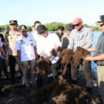 Kunjungan Pj Gubernur Kaltim didampingi Pj Bupayi PPU dan Paser dalam upaya meningkatkan potensi produksi rumput laut.