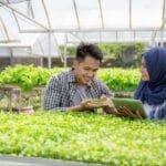 Ilustrasi petani urban. (freepik)