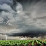 Ilustrasi. (Istimewa