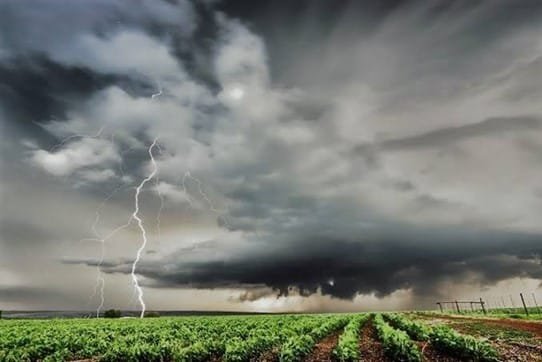 Ilustrasi. (Istimewa