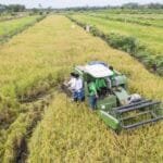 Ilustrasi. (Istimewa)