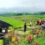 Ilustrasi Desa Mandiri. (Ist)