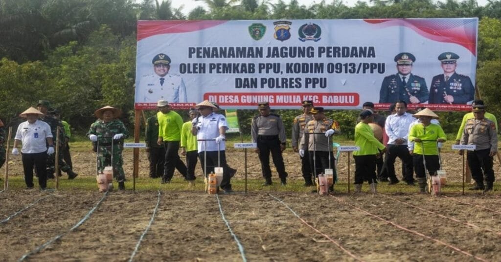 Diskominfo