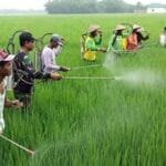 Kepala Dinas Pertanian PPU, Andi Teraso Diharto