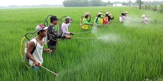 Kepala Dinas Pertanian PPU, Andi Teraso Diharto