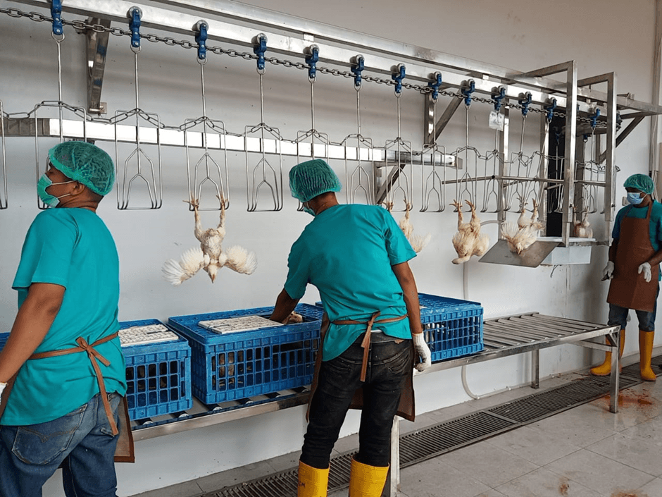 Ilustrasi RPU. (Istimewa)