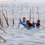 Pagar Laut Dibongkar, PKS: Pembelaan Presiden kepada Nelayan dan Rakyat Kecil