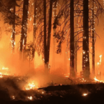 Ilustrasi. (Foto: EPA)