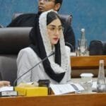 PDIP: Distribusi LPG 3 Kg Harus Tepat Sasaran untuk Pelaku UMKM