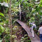 DPR: Kebijakan Tarif Trump Buka Peluang Perkuat Pariwisata Dalam Negeri