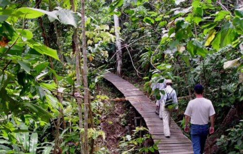 IMG 3619 DPR: Kebijakan Tarif Trump Buka Peluang Perkuat Pariwisata Dalam Negeri PROKALTIM