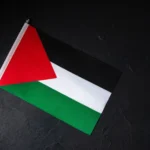 Di Sidang Parlemen Dunia, PKS: Indonesia Terus Mendukung Kemerdekaan Palestina