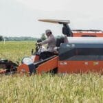 Panen Raya Serentak di 14 Provinsi, Presiden Prabowo Tegaskan Komitmen Wujudkan Kedaulatan Pangan