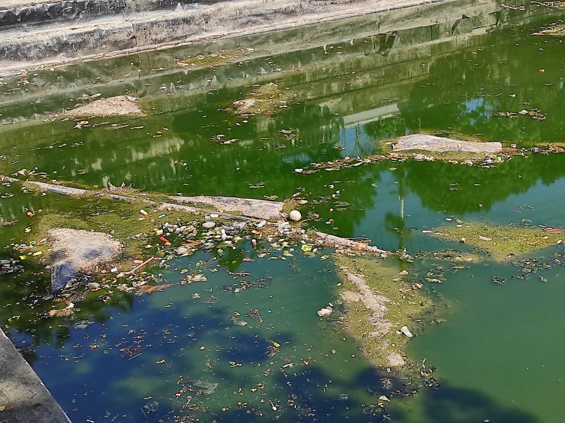 Waduk Telaga Sari Tercemar Sampah Plastik, DPRD Desak DLH Segera Bertindak