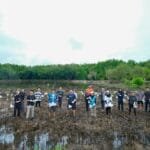 Tiga Dekade Telkomsel, Kolaborasi Bersama Ciro Waste Majukan Indonesia Melalui Penanaman 600 Bibit Mangrove di Balikpapan