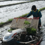 Dorong Penggunaan Mesin Modern, Upaya Pemkab Tingkatkan Produktivitas Pertanian