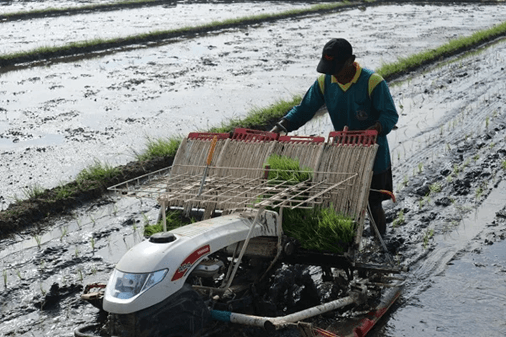 Dorong Penggunaan Mesin Modern, Upaya Pemkab Tingkatkan Produktivitas Pertanian