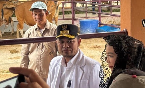 Perkuat Sektor-Sektor Strategis, Pemprov Kaltim Tegaskan Berkomitmen Salurkan Bankeu ke PPU